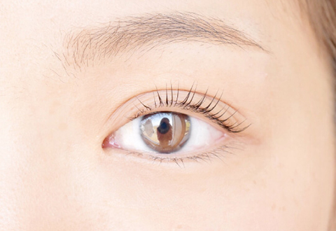 ラッシュリフトメニュー